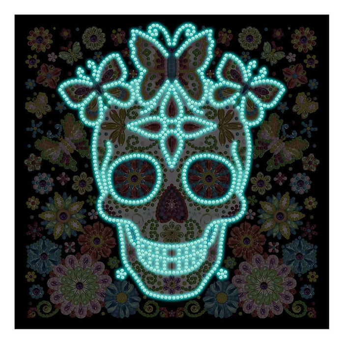 Skull Coloured | Glow in the Dark