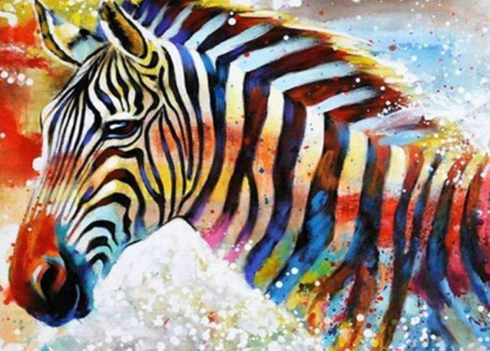 Colourful Zebra