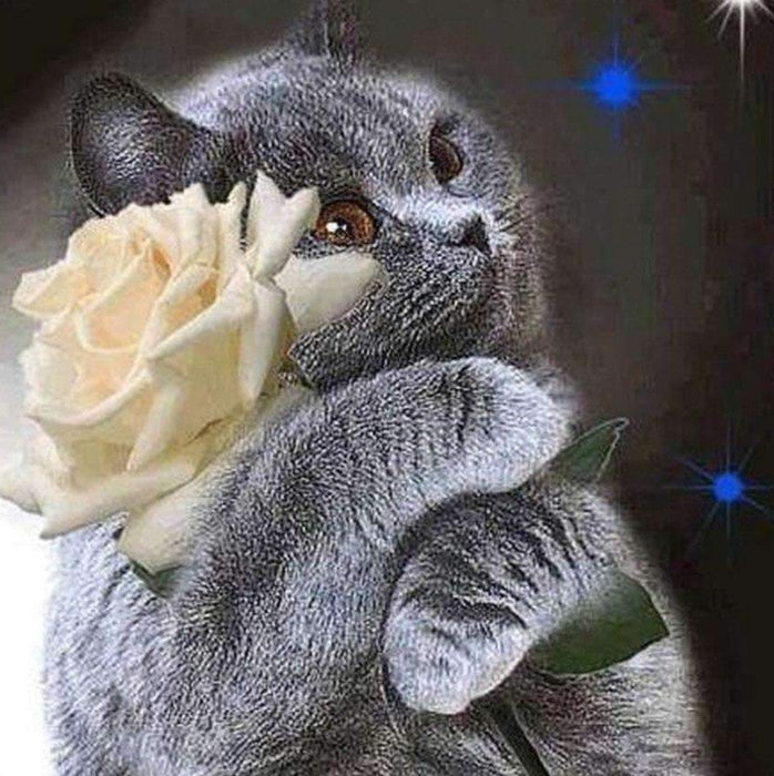 Cat with White Rose