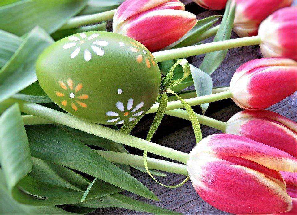Easter egg with Pink Tulips